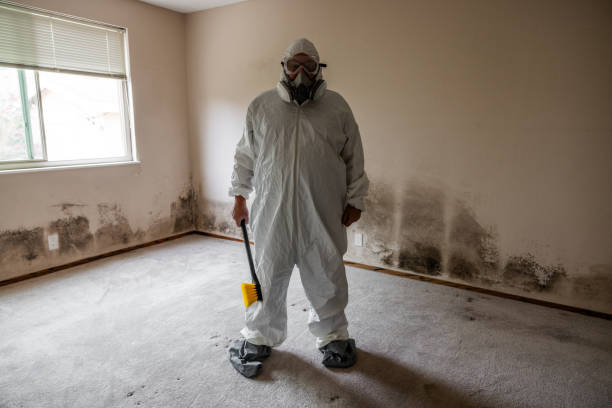 Best Professional Mold Removal  in Long View, NC